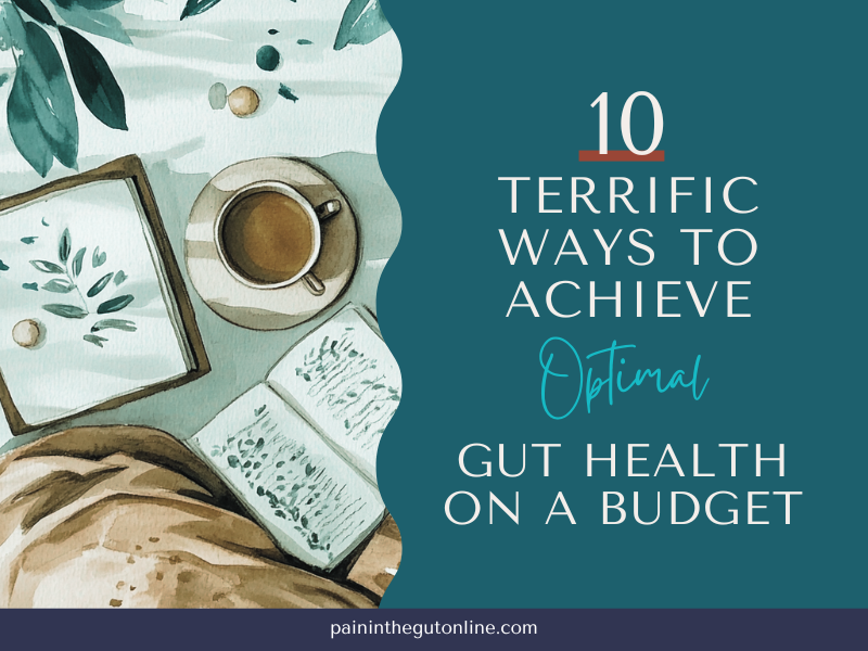 gut health on a budget