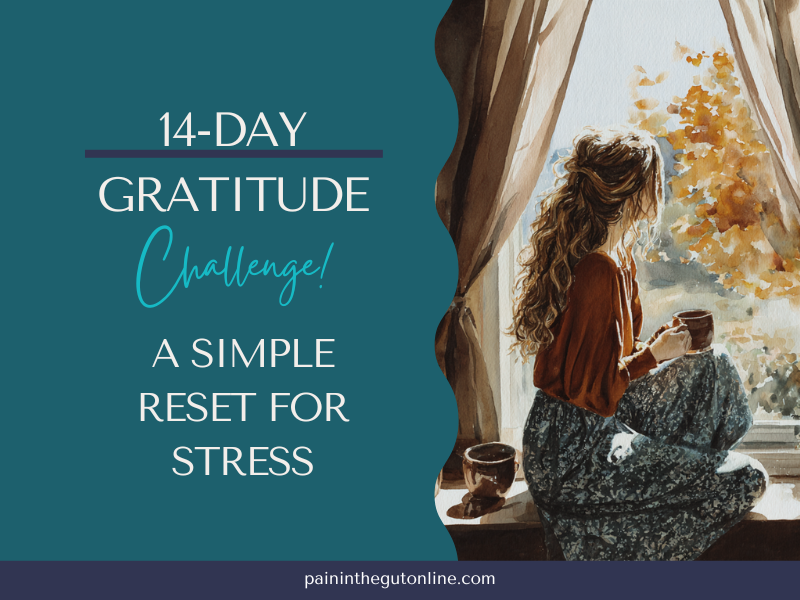 14-Day Gratitude Challenge: A Simple Reset for Stress