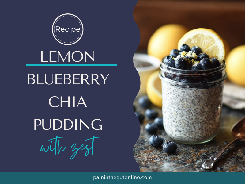 lemon blueberry chia pudding