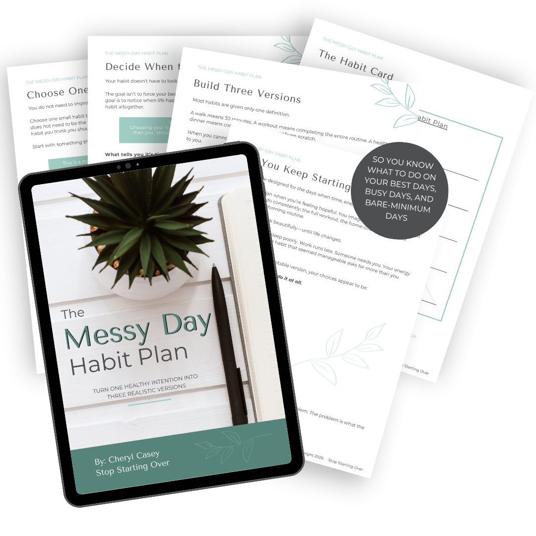Messy Day Habit Plan Mockup of pages inside the PDF
